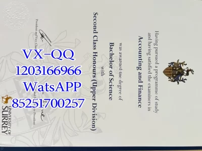 萨里大学毕业证