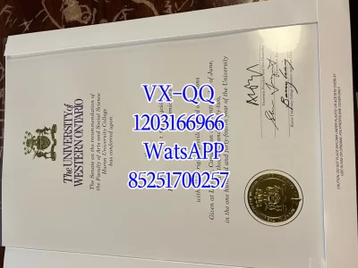 西安大略大学毕业证