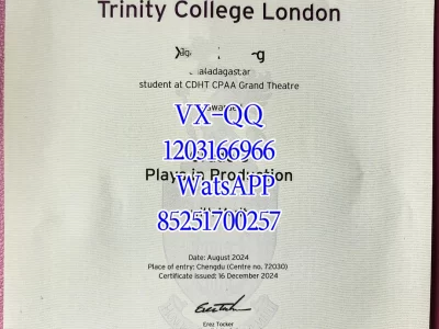 都柏林圣三一学院毕业证