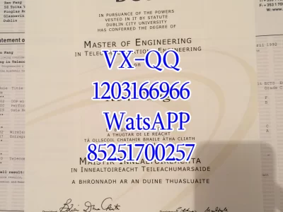 都柏林城市大学毕业证