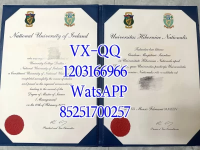 都柏林大学毕业证