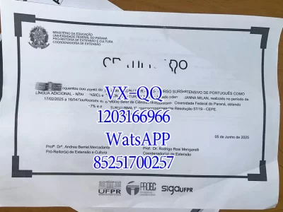 里约热内卢联邦大学毕业证