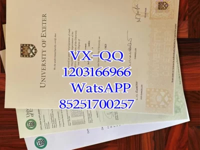 阿尔托大学毕业证