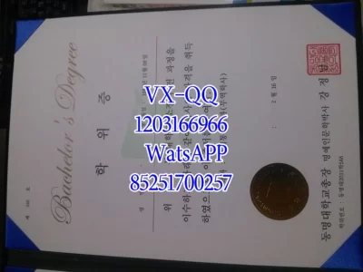 韩国东明大学毕业证