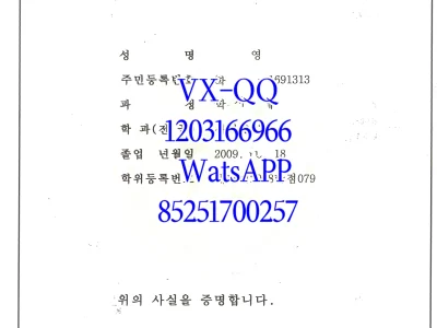 韩国启明大学毕业证