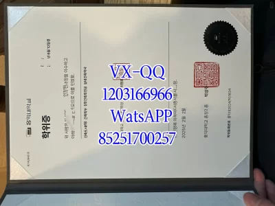 韩瑞大学毕业证