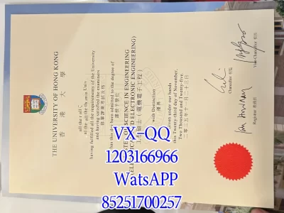 香港大学毕业证