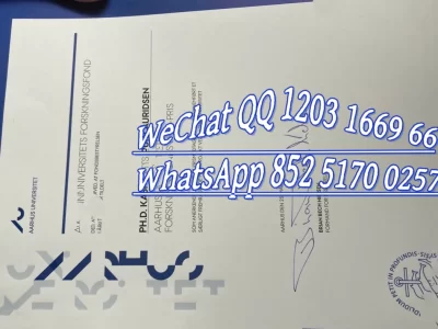 如何获取丹麦奥胡斯大学毕业证与成绩单？官方申请、电子版、补办流程、海牙认证及留服认证详细步骤2026指南