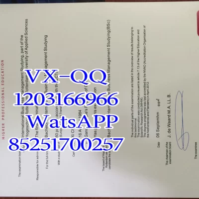 西班牙IE 商学院文凭Diploma from IE Business School in Spain