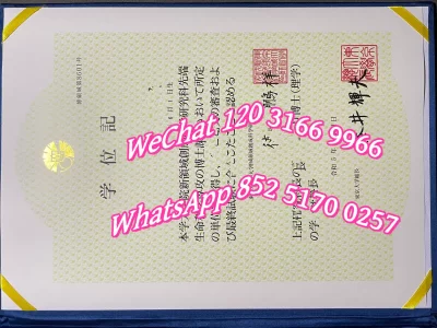 日本东京大学毕业证Diploma from Tokyo Electric University