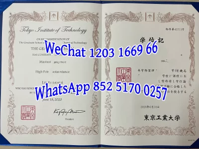 东京工业大学毕业证Diploma from Tokyo International Studies University