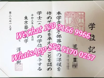 京都造形艺术大学毕业证卒业证书