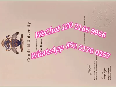 克兰菲尔德大学毕业证