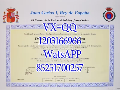 加泰罗尼亚理工大学文凭Diploma from the Polytechnic University of Catalonia