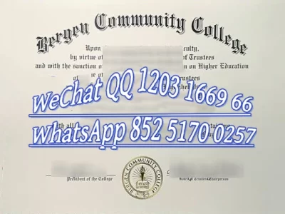 卑尔根大学毕业证成绩单Diploma from the University of Bergen