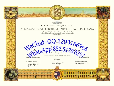 博洛尼亚大学毕业证Diploma from the University of Bologna
