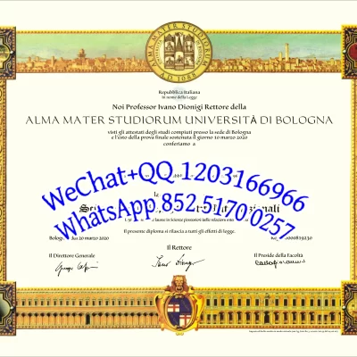 博洛尼亚大学毕业证Diploma from the University of Bologna