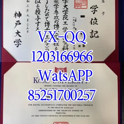 日本同志社大学文凭Diploma from Komatsu University in Japan