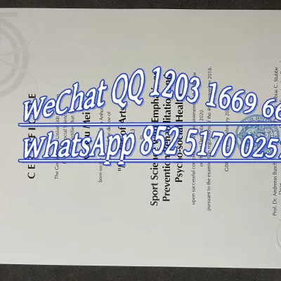 哥廷根大学毕业证补办与认证指南：海牙认证、留服认证及在线验证【2026】