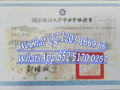 国立政治大学毕业证