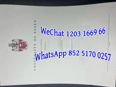 埃塞克斯大学毕业证成绩单Diploma from the University of Essex