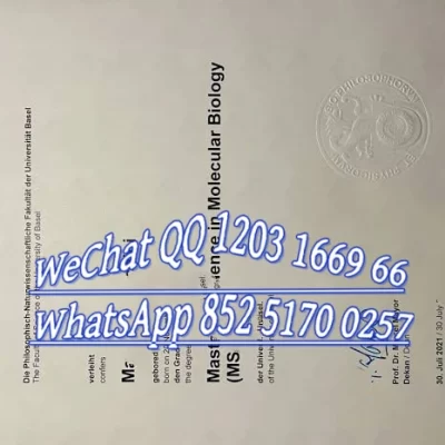 巴塞尔大学毕业证及留学有哪些核心优势？