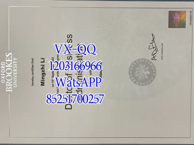布鲁克大学毕业证