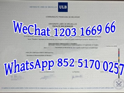 布鲁塞尔自由大学毕业证Diploma from the Free University of Brussels