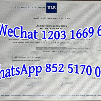 布鲁塞尔自由大学毕业证成绩单Diploma from the Free University of Brussels