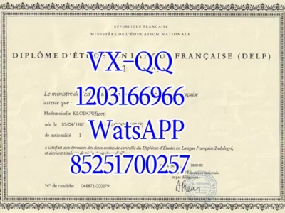 弗罗茨瓦夫大学文凭Diploma from the University of Wroc ł aw