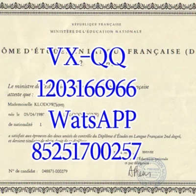 弗罗茨瓦夫大学文凭Diploma from the University of Wroc ł aw