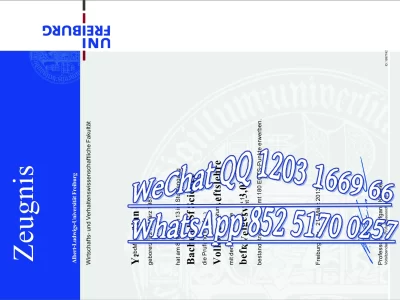 德国弗莱堡大学毕业证Diploma from Freiburg University