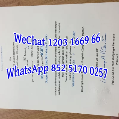 慕尼黑大学文凭含金量高吗？国际学生留学全解析