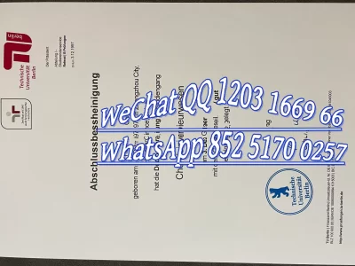 德国柏林工业大学毕业证成绩单