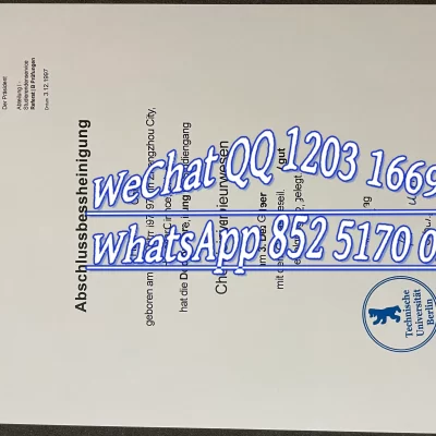 柏林工业大学留学文凭认证：学位证与留服认证全攻略