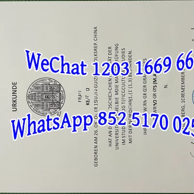 海德堡大学毕业证学位证书全攻略：获取、翻译、认证与补办详解