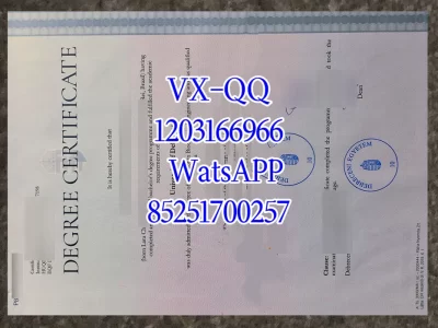 德布勒森大学文凭Diploma from Debrecen University