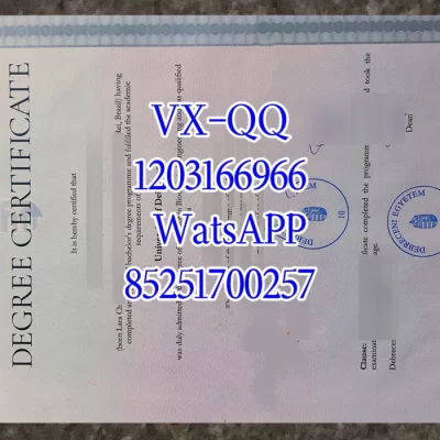 德布勒森大学文凭Diploma from Debrecen University