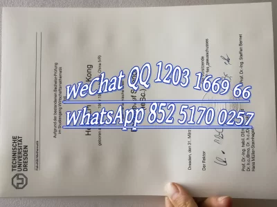德累斯顿工业大学毕业证成绩单