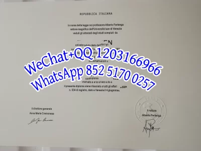 Diploma from the University of Venice, Italy