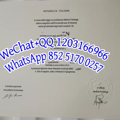 意大利威尼斯大学文凭Diploma from the University of Venice, Italy