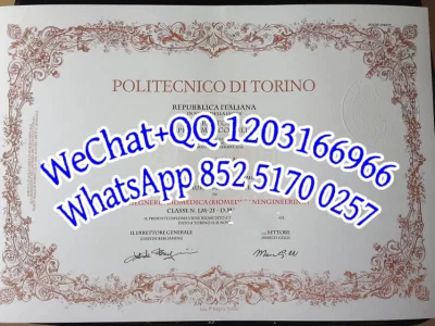 意大利都灵理工大学毕业证成绩单Diploma Transcript of Politecnico di Torino, Italy