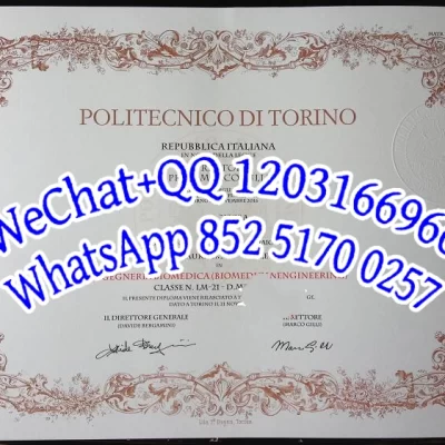 意大利都灵理工大学文凭Diploma from Politecnico di Torino, Italy