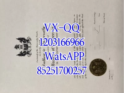 戴尔豪西大学文凭Diploma from Dalhousie University