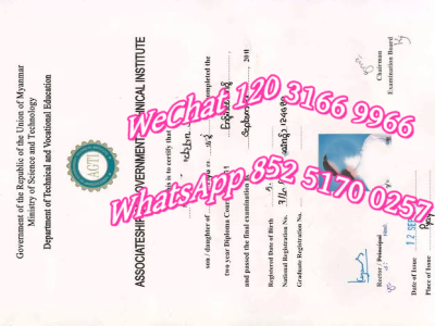 明爱专上学院文凭毕业证