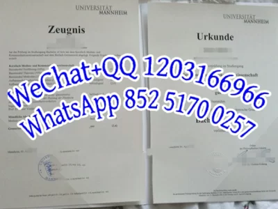 曼海姆商学院毕业证Diploma from Mannheim Business School