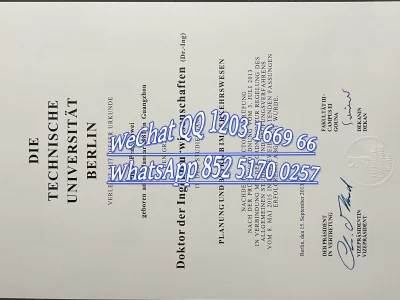 柏林工业大学毕业证