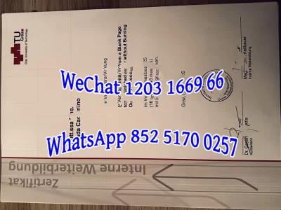 格拉茨大学毕业证Diploma from Graz University