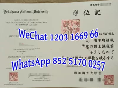 横滨国立大学毕业证Diploma from Yokohama City University