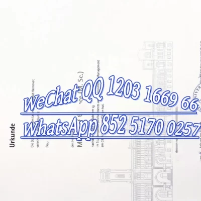 汉诺威工业大学毕业证成绩单复刻制作服务_高仿德国文凭定制_防伪水印钢印工艺_如何挑选靠谱复刻商指南_2026